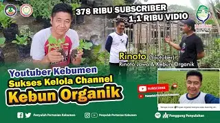Youtuber Kebumen SUKSES Kelola Channel KEBUN ORGANIK Bersama @RinotoJawa