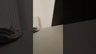 yoi yoi yoi YOSHO🤣🤣🤣