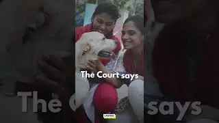 Shelter the strays, save the kids &mdash; why is that so hard?