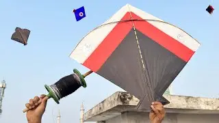 Patang Ki Video | Kite Fighting | Kite Cutting | Kite Flying | Kite Vlog