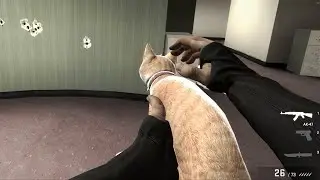 Cat Gun in CSGO?