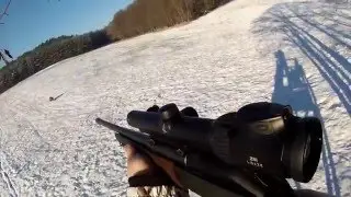 Drivjakt p&aring; villsvin/ Tyskland Januar 2016.