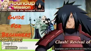 ROUNDUP MISSION | GUIDE FOR BEGINNERS + TEAMS FOR 5-6 STAGES