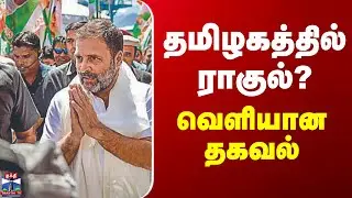 Congress Rahul Gandhi | தமிழகத்தில் ராகுல்? - வெளியான தகவல்