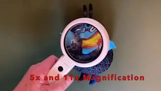 Dual purpose lighted magnifying glass