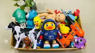 Toy Box ASMR | Satisfying Plastic Tapping & Sorting Sounds (No Talking)
