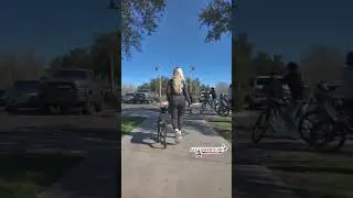 Puppy Doberman Training I Confidence Building I On Leash Obedience Training Phoenix I AllAmerican K9