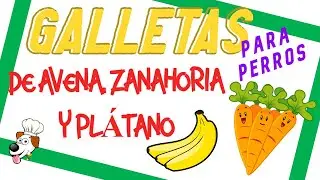 Galletas 🍪 de AVENA para PERROS!! 💚