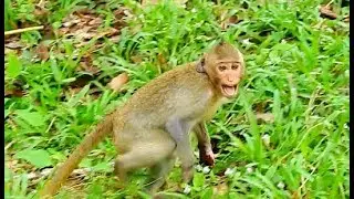 Poor Janet cry saw mom Jane walk far from her,Janet both hands not heal yet,Janet walk wit 2legs#283