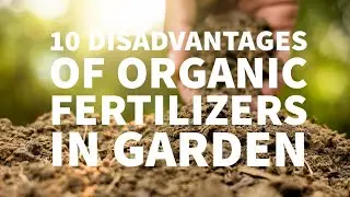 10 DISADVANTAGES OF ORGANIC FERTILIZERS IN GARDEN
