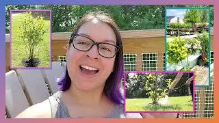 Magnolia Tree Adventure Vlog!!!