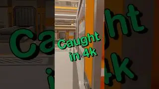 Caught in 4k  #funny #lockdownprotocol #gaming