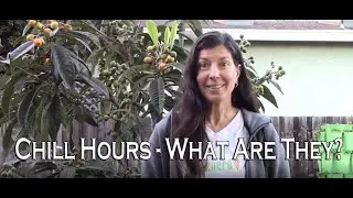 Chill Hours - What Are They & Why Do You Need Them?