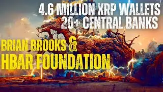 4,6 млн долларовых кошельков XRP от Брайана Брукса HBAR Foundation