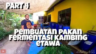 PROSES PEMBUATAN PAKAN FERMENTASI KAMBING ETAWA PART 4 DRKSTORY#55
