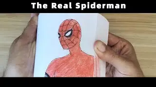 Flipbook:The  Real  Spiderman