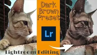 How to Edit Dark Brown Moody Preset from Lightroom | Lightroom Presets | Moody Tones