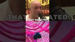 Joe Rogan And The Buddhafield Cult #joerogan #cult #facts #didyouknow #wierd #documentary