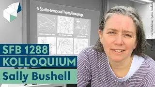 Sally Bushell | An Iterative Mapping Method | SFB 1288 Kolloquium