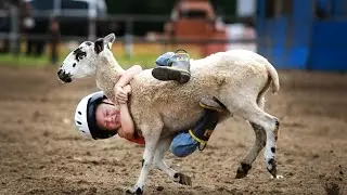 TRY NOT TO LAUGH | Funny Fails At The Zoo - LAUGH TRAPPED