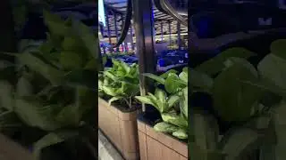Newport City Resorts World Casino Philippines