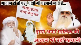 #आवाज से तो पशु-पक्षी सब पहचाने जाते हैं #तुमने अपने मालिक की आवाज भी नहीं पहचानी #bhajanmarg