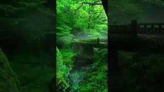#art #blog my first vlog viral kaise kare 2022 abhi tech tips