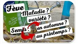 Culture des f&egrave;ves automne ou printemps ?