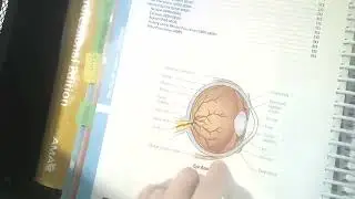 Eye, Ocular Adnexa, Auditory, and Operating Microscope Walkthrough- CPT 2022