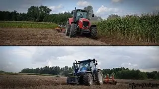 Orka pod rzepak 2021 ☆ Massey Ferguson 6485 & New Holland T7.165S ★Podkarpacie★