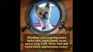 Happy Love Your Pet Day!