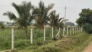 2ACRES LAND SALE HANUR NEAR 4KM BANGLORE 145KM MYSORE 85KM PRICE PER ACRE 45LACK 9902421145
