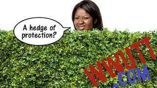 What is a Hedge of Protection?