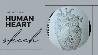 Human heart sketch | Art with faby |  #sketch #drawing #art