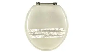 Standard Resin Toilet Seat with Chrome Hinges