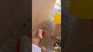 Испытание с раздавливанием воздушных шаров #питомцы #воздушныйшар #милый #времяраздавливания #сме...