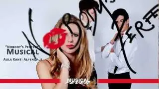 Nobody's Perfect - Musical Fever