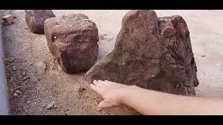 Creating a Japanese Zen Garden Part 2
