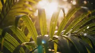 Afropop Live Mix &ndash; Modern African Hits for Chill & Party