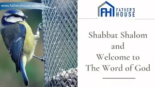 Shabbat Service 28th May 2022 - Persistence, Perseverance, Patience  - Pastor Keith Darnell