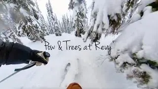 Skiing Trees and Powder at Revelstoke (Vol. 1)