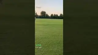 lofted cover drive