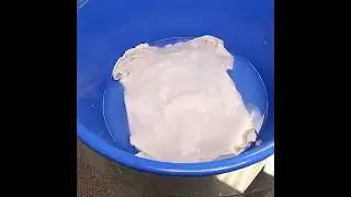 Кислородный очиститель brandfree