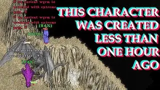 ULTIMA ONLINE BEGINNERS GUIDE (for Classic Free Shard Second Age) #tutorial #gaming #mmorpg