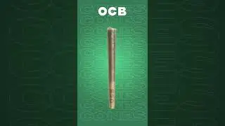 OCB Pre-Rolled Cones Mini Tower - No More Rolling Struggles