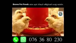 Beena Pet Food is the best #place to #buy #food for your #pets | 076 36 80 230