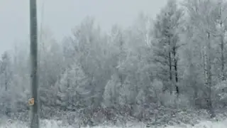 Сельские будни 