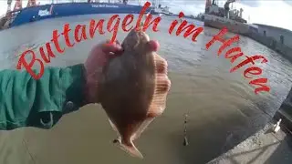 Buttangeln im Hafen von Bremerhaven