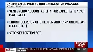 Iowa, Illinois lawmakers introduce bills to protect kids online