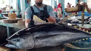 Amazing! The tuna samurai of Indonesia @Alfaruq07-c3i #fishcutting #tunamaster 